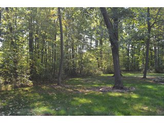 Property photo 48 - REAL ESTATE AUCTION IN ALLEN CO., INDIANA